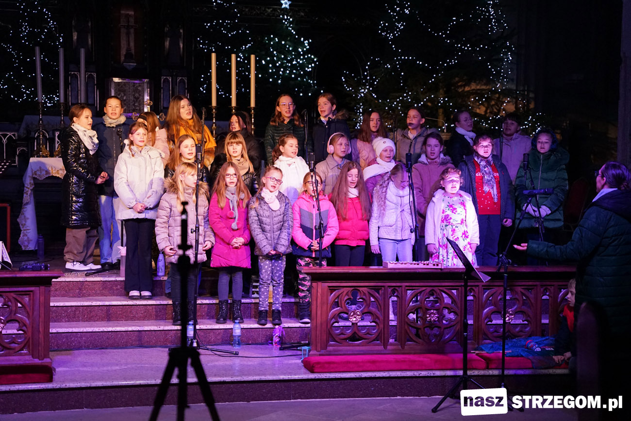 Radosne kolędowanie w strzegomskiej Bazylice Mniejszej [FOTO+WIDEO] 
